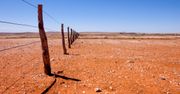Groźne upały w Australii. Mogą paść kolejne rekordy