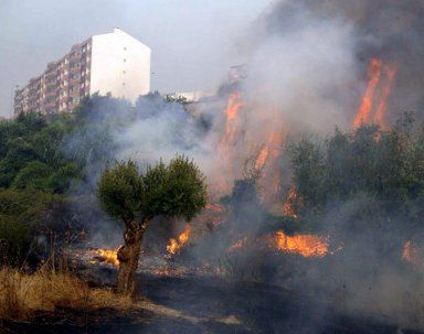 Portugalia prosi NATO o pomoc w walce z ogniem