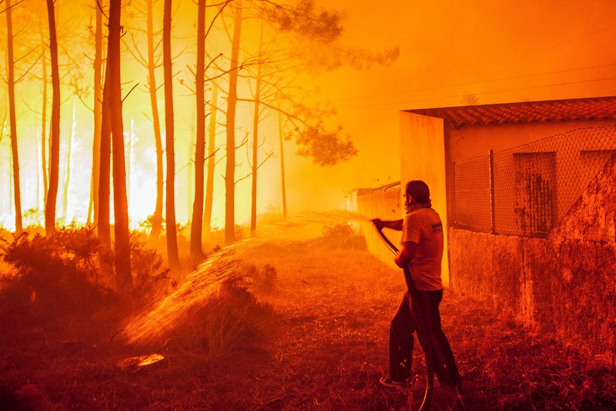 Podpalenie powodem pożarów w Portugalii i Hiszpanii? Policja: mamy dowody