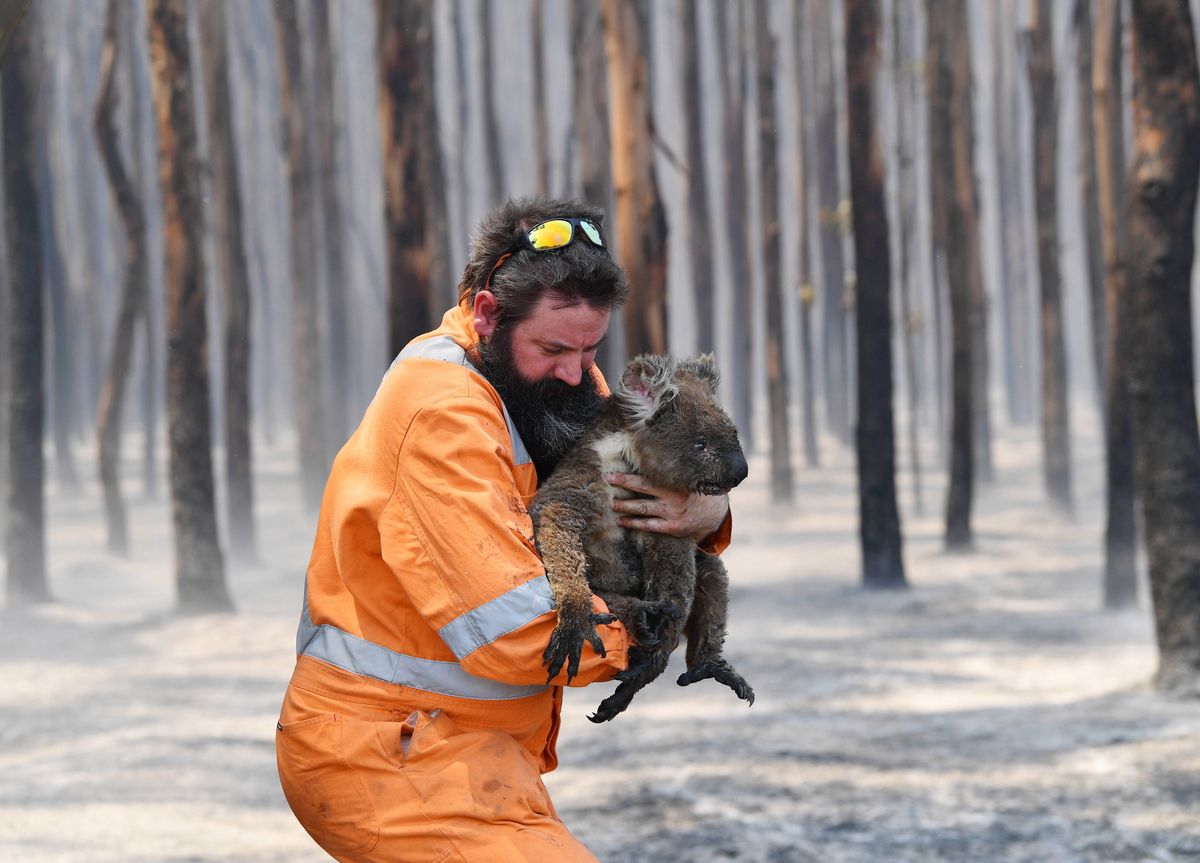 Pożary w Australii. Polscy strażacy pojadą z pomocą? Straż pożarna dementuje informacje