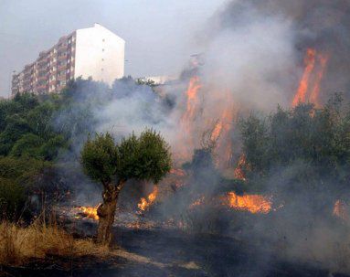 Portugalia prosi NATO o pomoc w walce z ogniem
