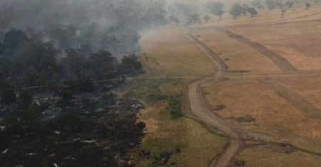 Pożary w Australii. Ogień odsłonił pradawne konstrukcje. Są starsze od piramid