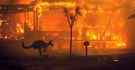 Australia płonie a ofiar jest coraz więcej. NASA pokazuje szokujące zdjęcia