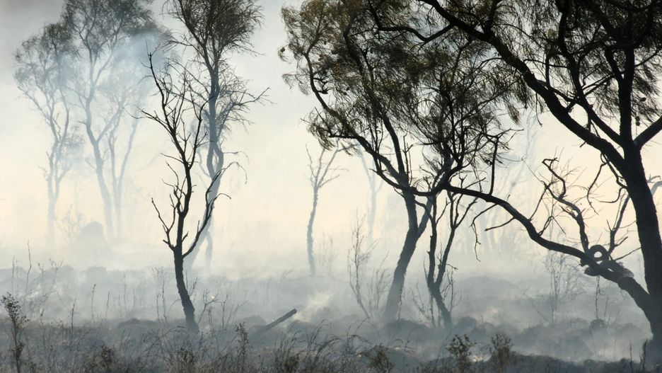 Australia może odetchnąć. Spadł długo wyczekiwany deszcz
