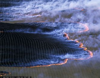 Australia płonie, ale nadal chce być liderem eksportu węgla. My też go kupujemy