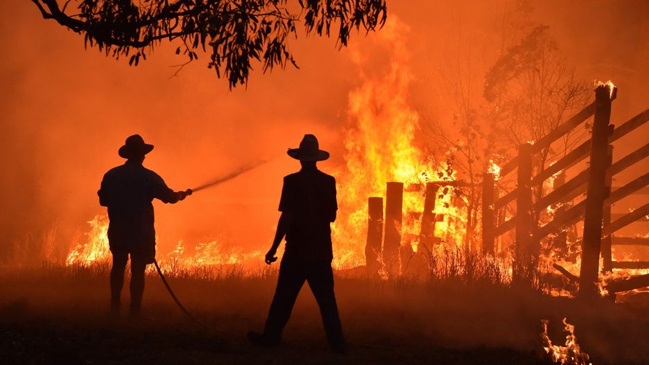 Australia. Przerażające obrazy z pożarów zmieniają poglądy obywateli w sprawie zmian klimatycznych.