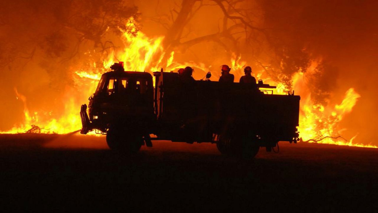 Australia w ogniu. Wielki sukces akcji Celeste Barber. Zebrano rekordową kwotę