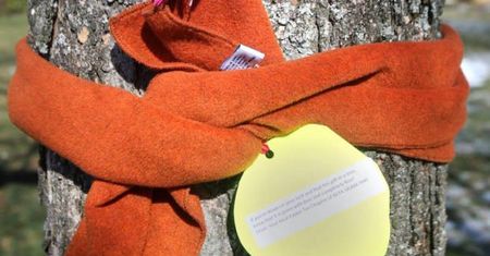 Szaliki wiszące na drzewach czynią dobro