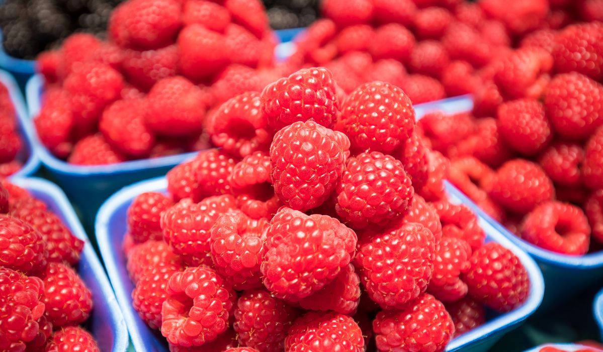 Pojawiły się pierwsze polskie maliny. Cena przyprawia o zawrót głowy