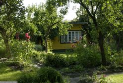 Szczygówek. Ciąg dalszy procesu ws. morderstwa bezdomnego