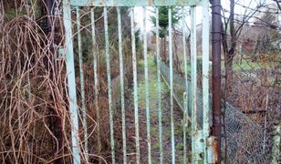 Warszawa. Jest zarzut dla kobiety, która porzuciła noworodka