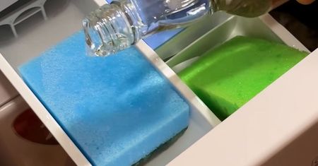 Włóż 2 gąbki w szufladę pralki i polej tym składnikiem. Pleśń i bakterie znikną w parę minut