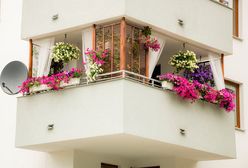 Taras, balkon czy ogródek - które rozwiązanie wybrać planując zakup mieszkania w bloku