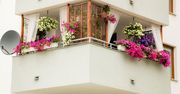 Taras, balkon czy ogródek - które rozwiązanie wybrać planując zakup mieszkania w bloku