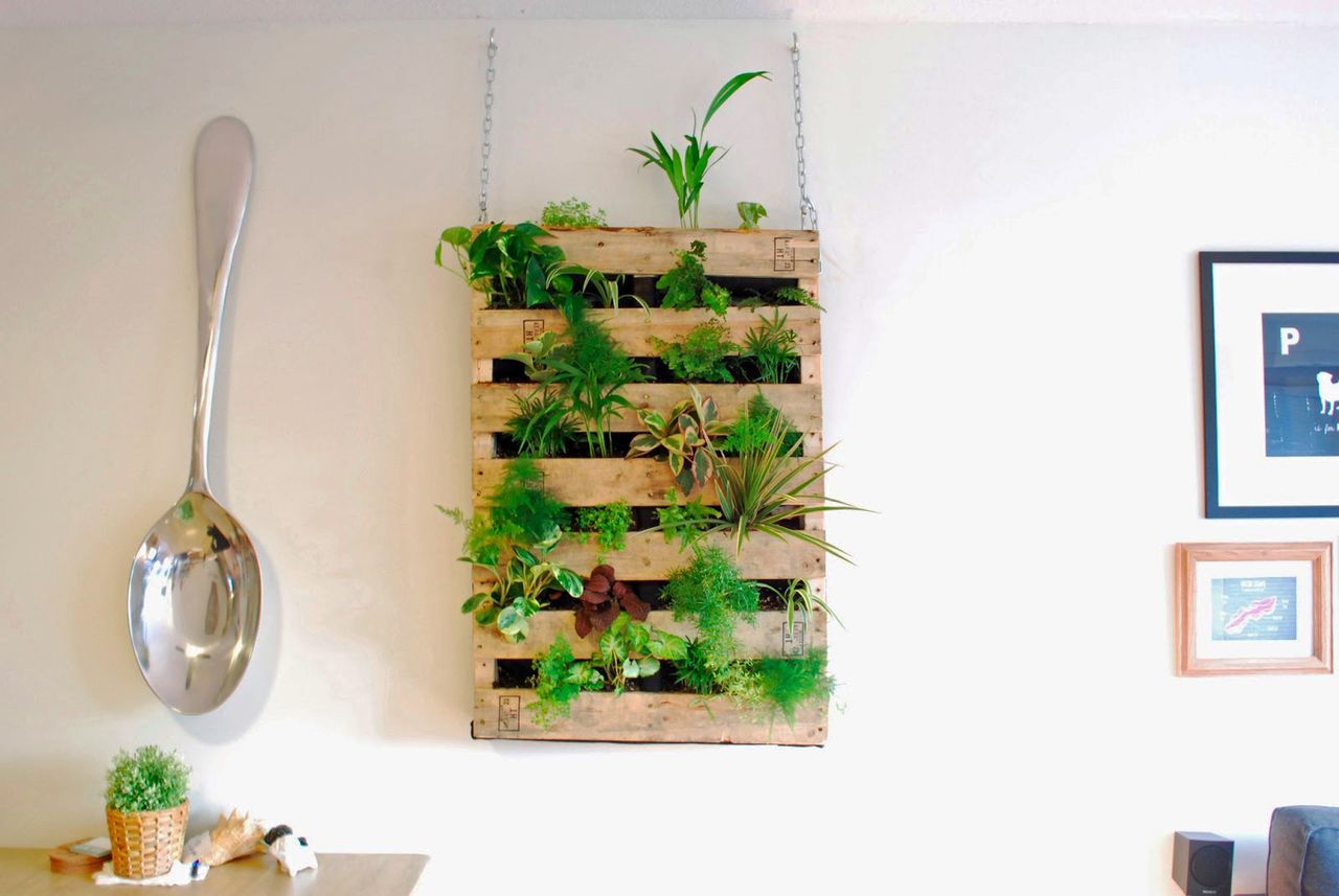 Pallet Living Wall