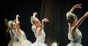 The Royal Moscow Ballet 2018 – niezbędnik