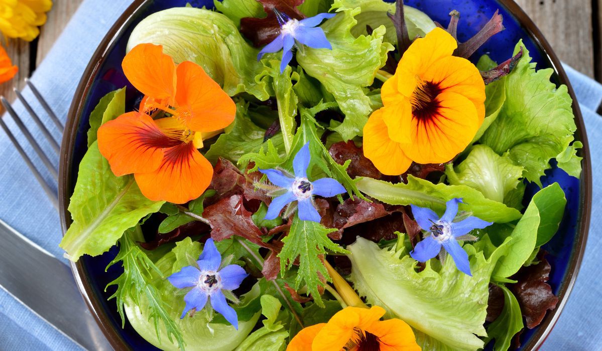 Jak wykorzystać kwiaty jadalne w kuchni - przepisy na dania z dodatkiem płatków róż, fiołków i innych kwiatów