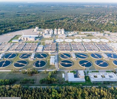 Afera w oczyszczalni "Czajka". Rozwożenie śmierdzących nieczystości z Warszawy ma trwać do końca 2020 roku