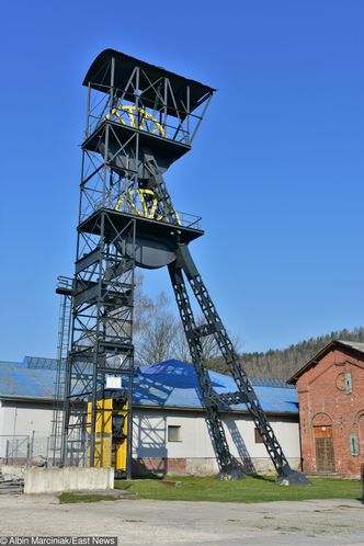 Rybnik nie chce kolejnej kopalni. "Powinniśmy pokazać plan wyjścia z górnictwa"