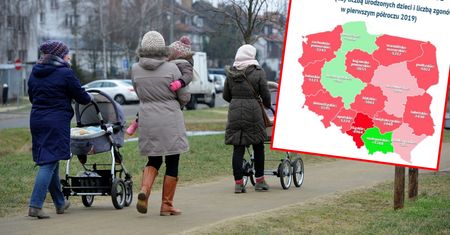 Przyrost naturalny. Większość miast się wyludnia. Najgorzej jest w Łodzi