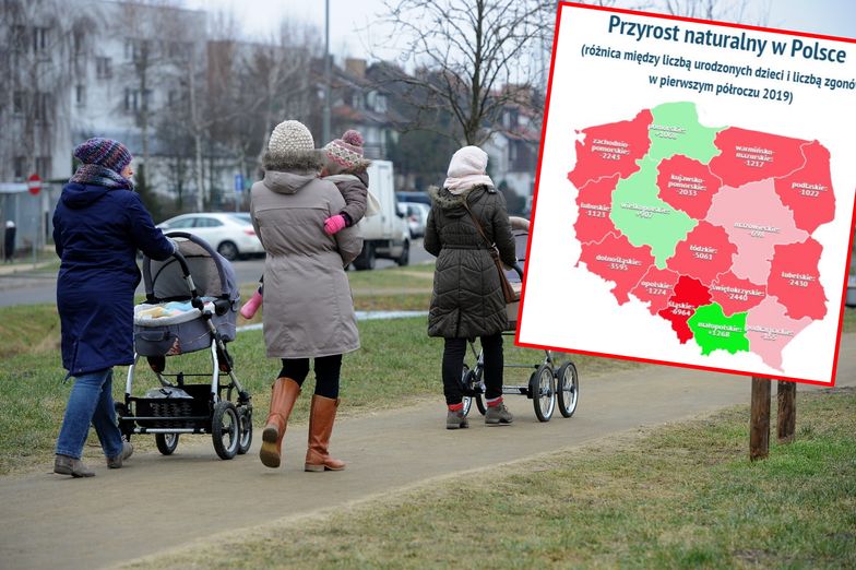 Na demograficznej mapie Polski nie ma klasycznego podziału na wschód i zachód, który widoczny jest np. na rynku pracy.