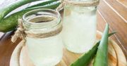 Aloes. Właściwości zielonego żelu