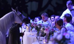 Skontrolują stadninę koni w Michałowie. "Mają szukać haków na byłego prezesa"