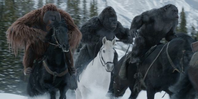 Kontynuacje przebojów zbliżają się do polskich kin. Zobacz polskie plakaty filmów "Kingsman: Złoty krąg" i "Wojna o planetę małp"