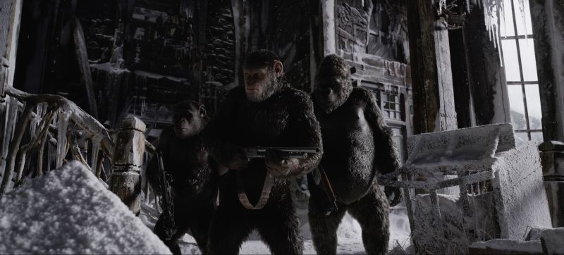 ''Wojna o planetę małp'': zobacz pierwszy zwiastun [WIDEO]