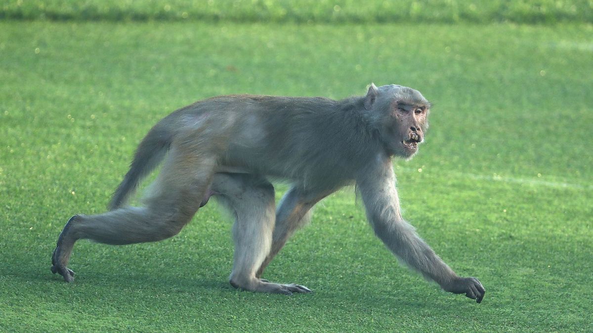 during day one of the Hero Indian Open at Dlf Golf and Country Club on March 8, 2018 in New Delhi, India.