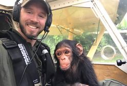 Uratował małego szympansa z rąk kłusowników. Zwierzę razem z nim pilotowało samolot