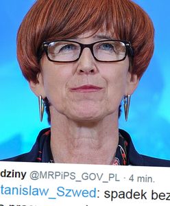 Wiekopomne odkrycie wiceministra rodziny. Odkrył, że na spadek bezrobocia wpływa... wzrost zatrudnienia