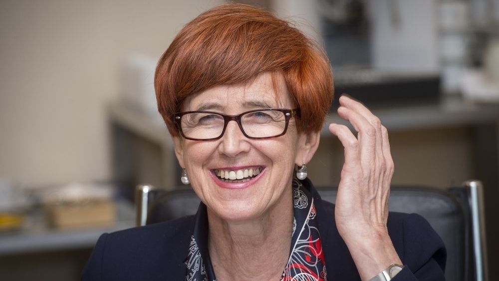 Elżbieta Rafalska ma dobre wiadomości