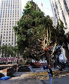 W powietrzu czuć święta