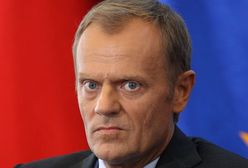 Ekspert rządu bez licencjatu