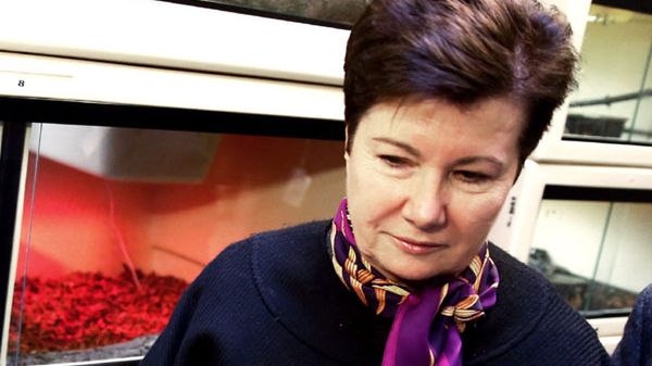 Hanna Gronkiewicz-Waltz