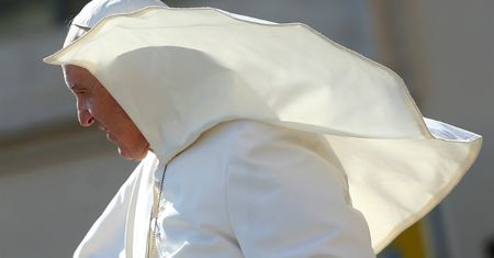 Ksiądz o traktowaniu zwierząt: dziś masowo je produkujemy. Okażmy im większy szacunek
