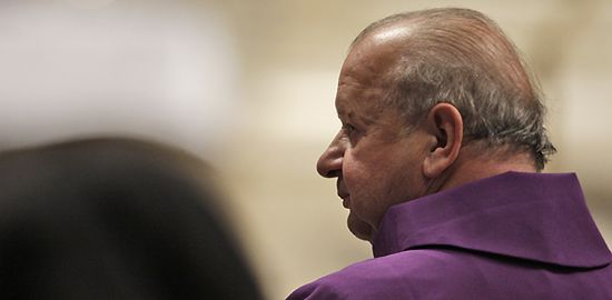 Kard. Dziwisz na audiencji u Benedykta XVI