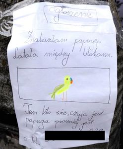 9-latka uratowała papugę. Jej ogłoszenie chwyta za serce