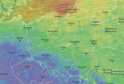 Pogoda da nam w kość. IMGW ostrzega przed silnym wiatrem