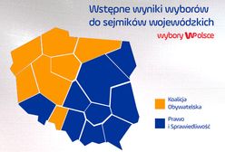 Tak głosowaliśmy. Polska podzielona na pół. Prawie