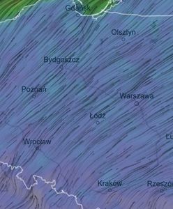 Pogoda. Silny wiatr może być niebezpieczny