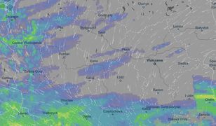 Prognoza pogody. "Na termometrach istne szaleństwo"