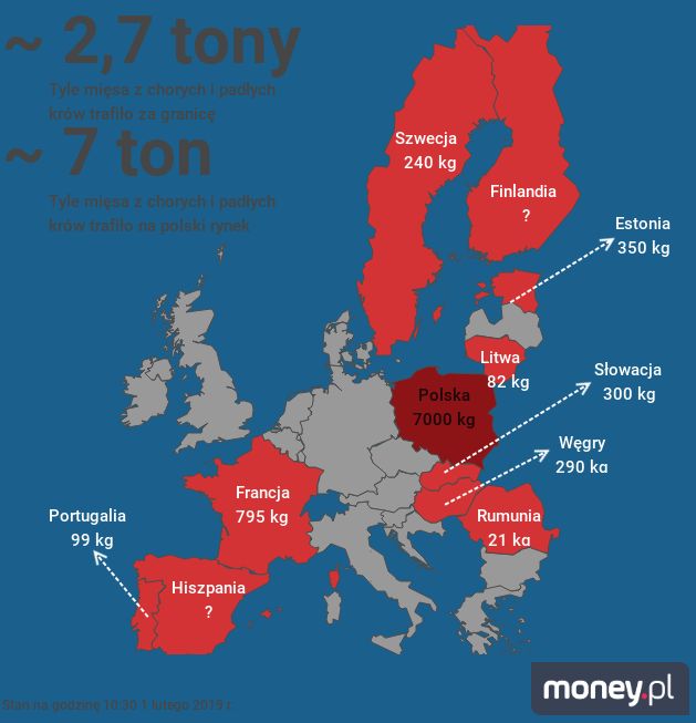 Tu trafiało polskie mięso z podejrzanej rzeźni 