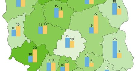 Więcej niż co dziesiąty Polak doświadczył ubóstwa w 2018 roku. Duże różnice między województwami