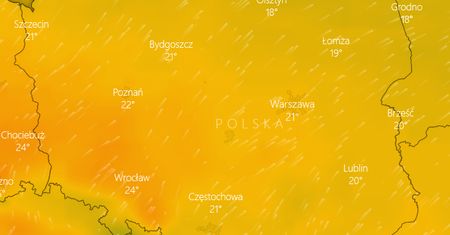 Wybory parlamentarne 2019. Prognoza pogody