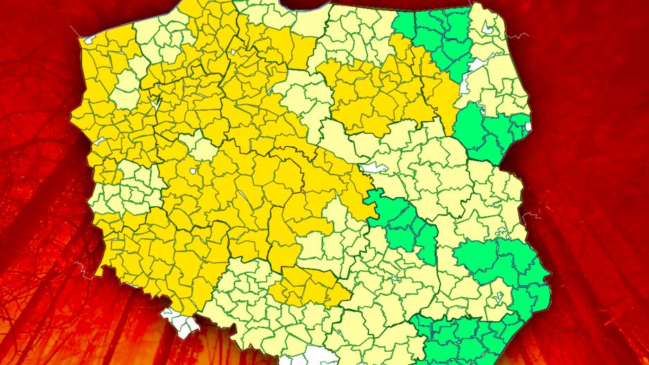 Lasy Państwowe ostrzegają przed pożarami