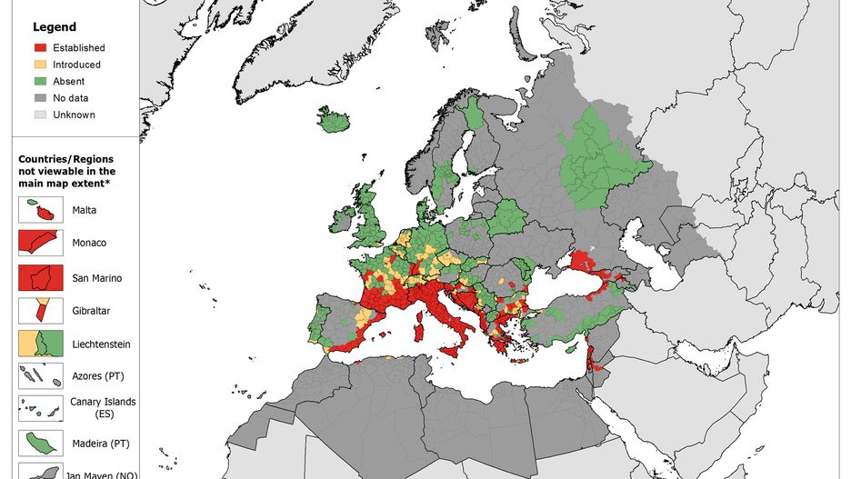 Występowanie komara tygrysiego w Europie