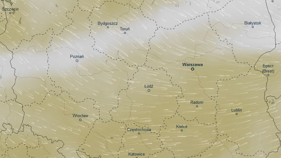 Mapa ilustruje szacowaną wilgotność w Polsce w piątek po południu 