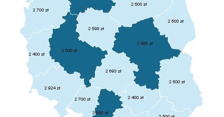Ile zarabiają nasi internauci?